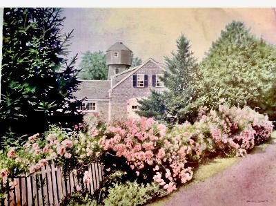 Cape Cod — original watercolor by Candace Savinelli